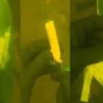 Diver discovers mysterious bottle underwater with names tied to knives (Video)