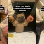 "Every living thing must praise the Lord" – Reactions as Nigerian family involve their dog in New Year's day prayers (Video)