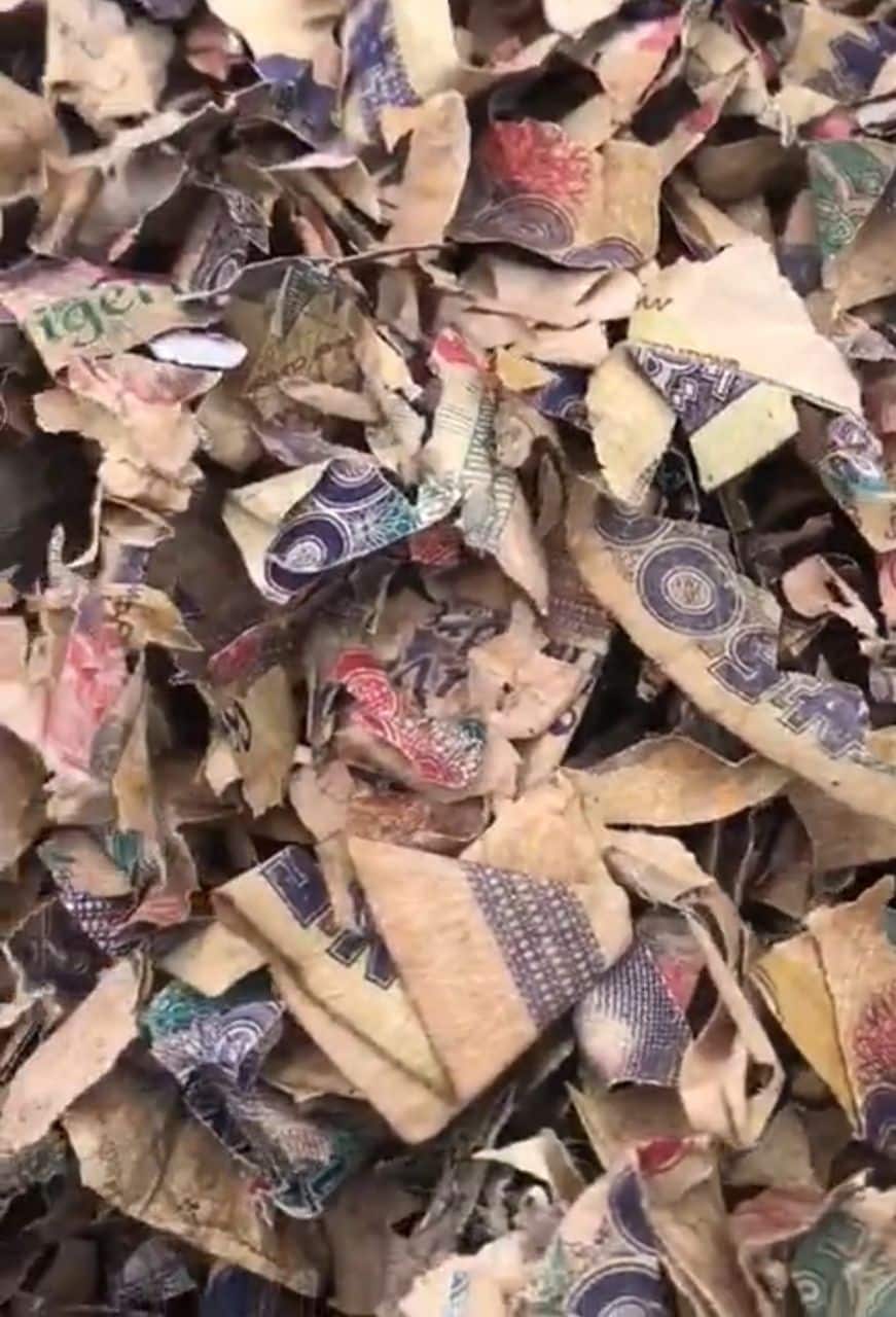shredded old naira notes