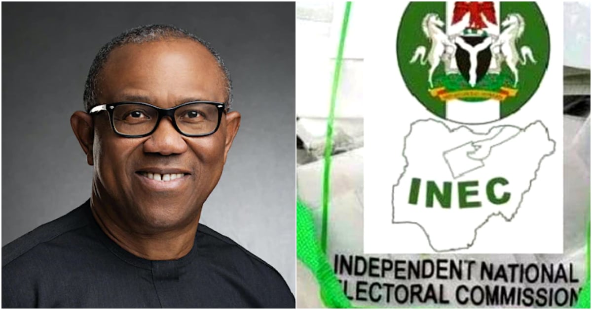 Declare Abia, Enugu results now, Obi charges INEC