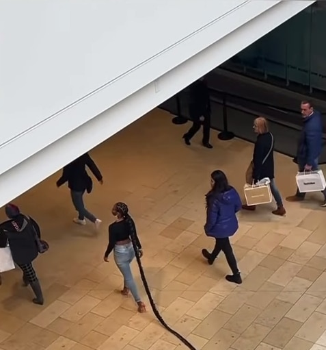 Lady floor-length braids stares mall