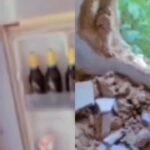 Lady cries out as two shops get destroyed and drinks stolen (Video)