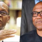 "Labour Party still dubiously selling hopes to Obidients" — Joe Igbokwe