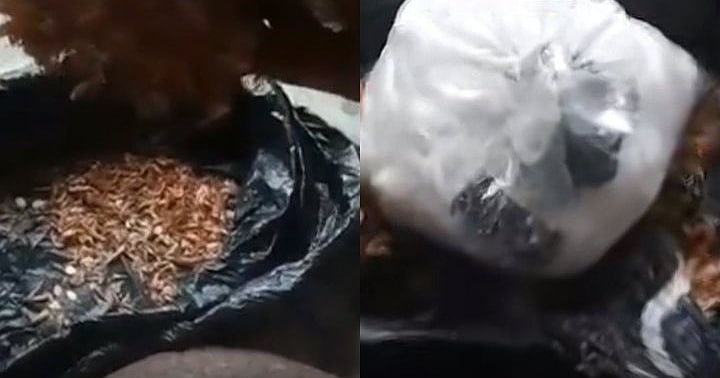 Woman finds drugs inside crayfish she was asked to deliver in Italy