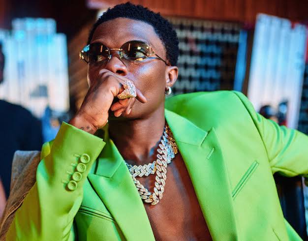 "I feel very bad each time I kill a bug" – Wizkid says, vows to commence anti-bug-killing campaign