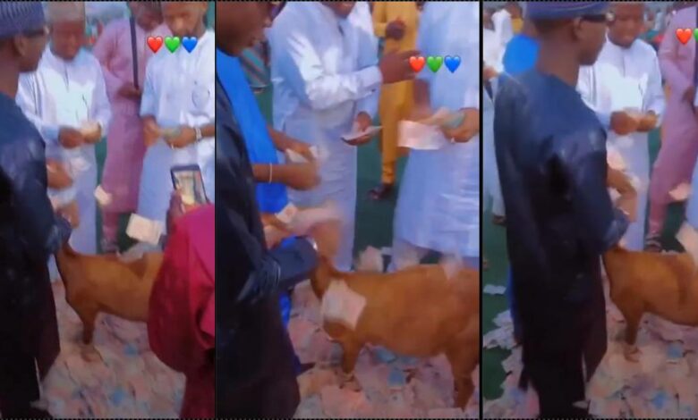 Nigerian youths throw party for goat, spray lavishly on it (Video)