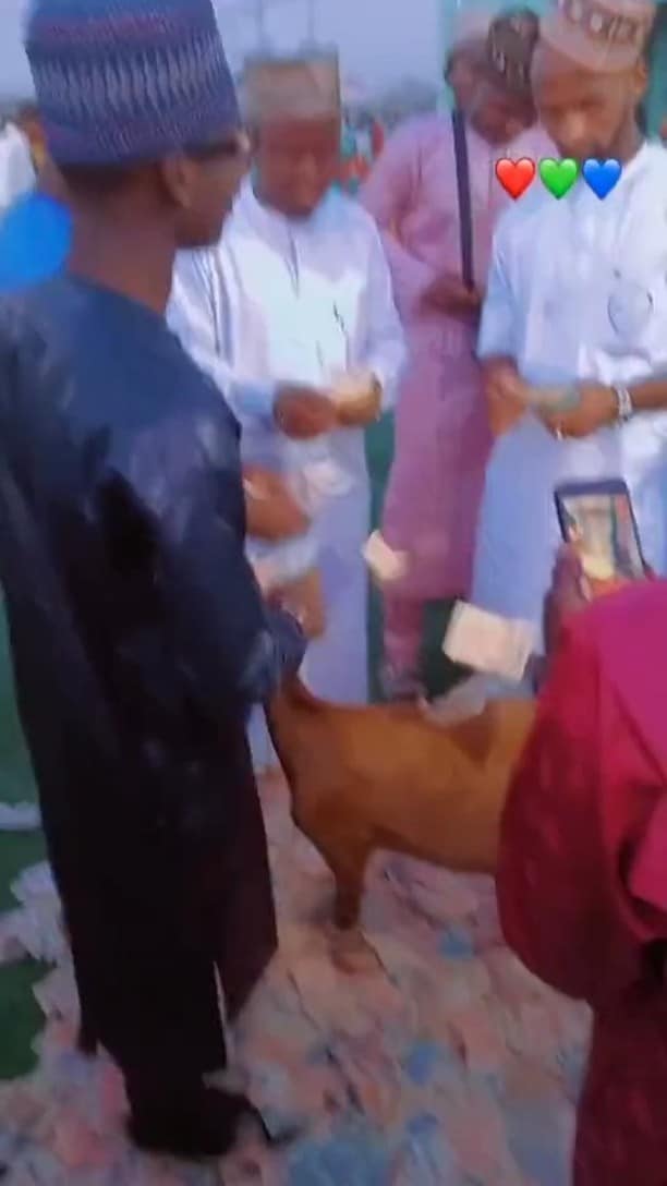 Nigerian youths throw party for goat, spray lavishly on it (Video)