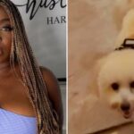 “My dog has eaten all my pant” — Media Personality, Rene cries out