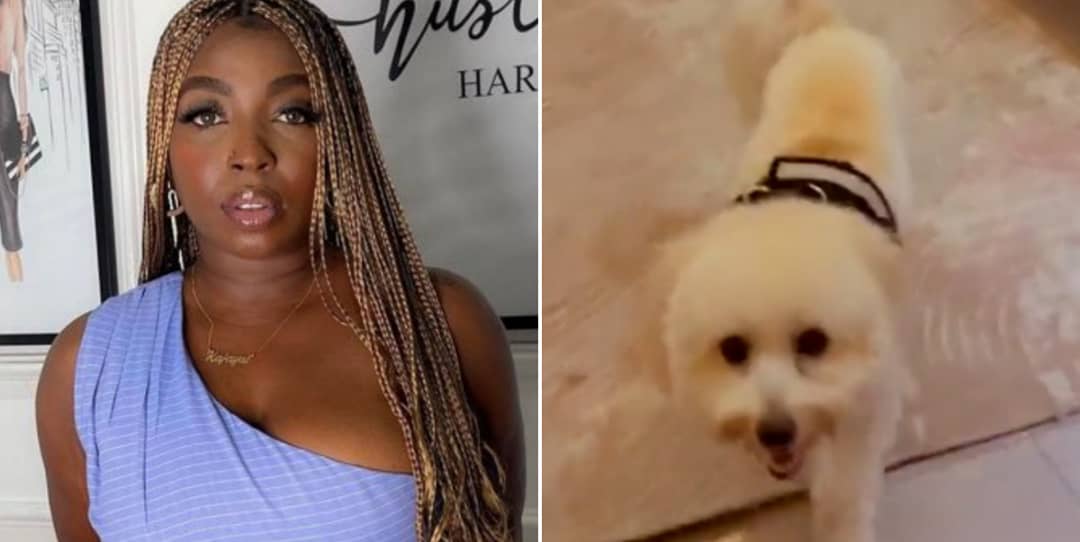 “My dog has eaten all my pant” — Media Personality, Rene cries out