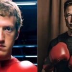 Mark Zuckerberg accepts Elon Musk's challenge to a cage fight