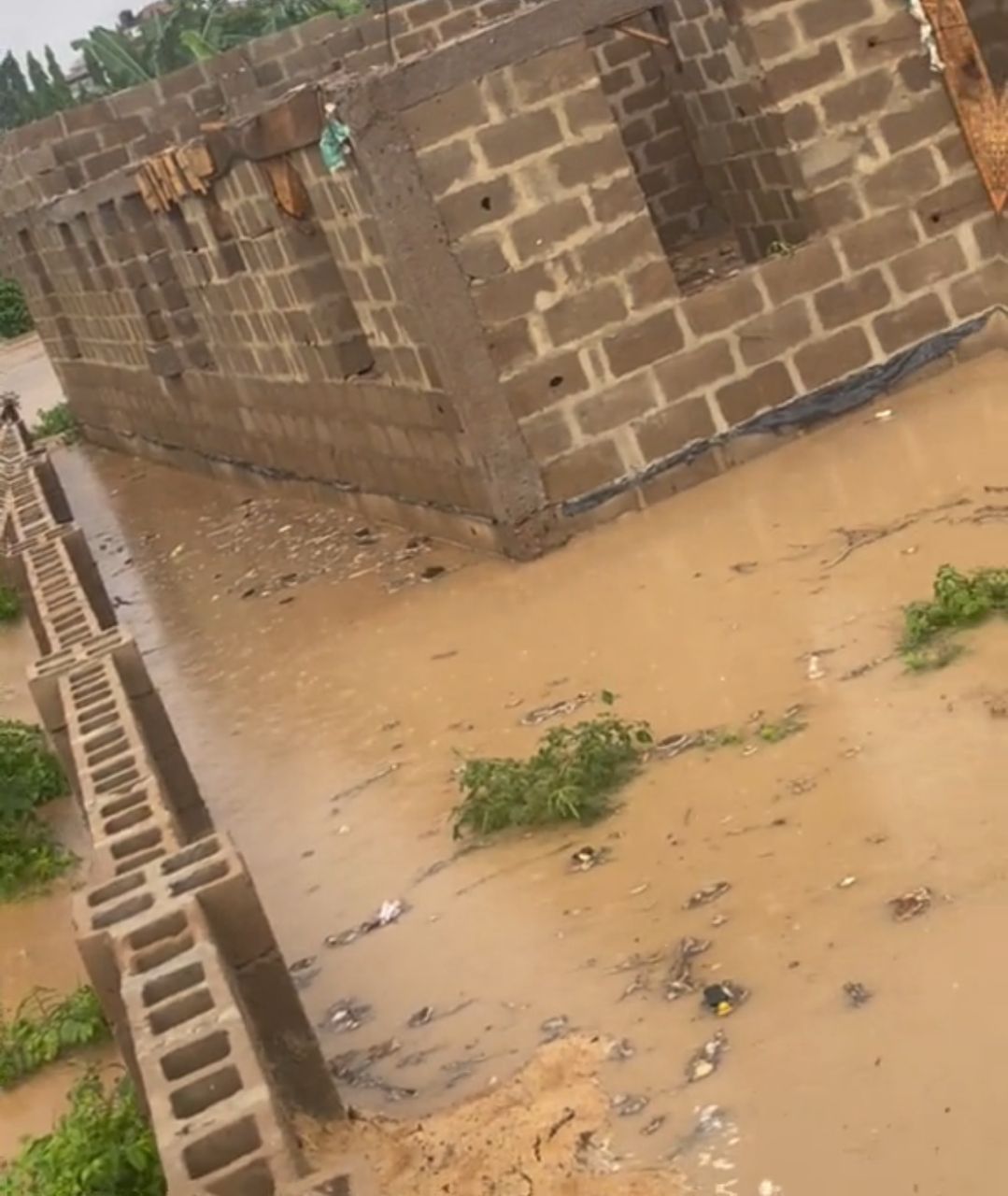 Man soaked in regrets after building house in flooded region (Video)