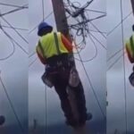 PHCN official dances on electric pole while disconnecting power