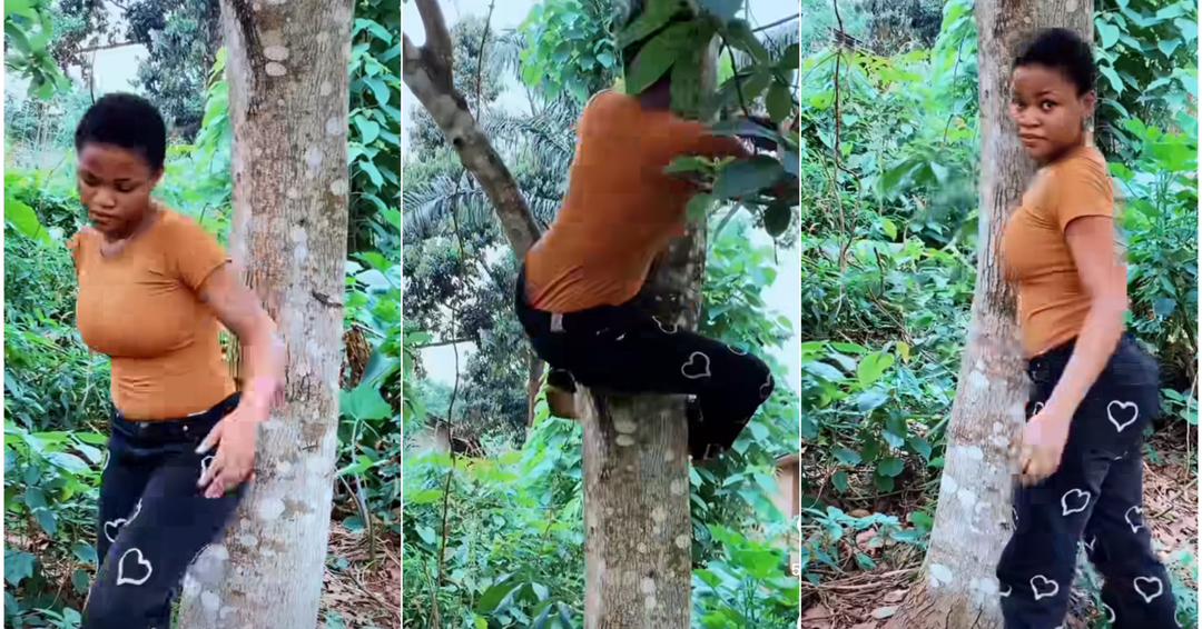 Man who took girlfriend to his hometown sees her climbing trees