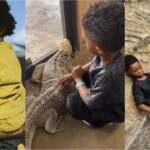 Video of Wizkid's son playing with live alligator and snake gets people talking