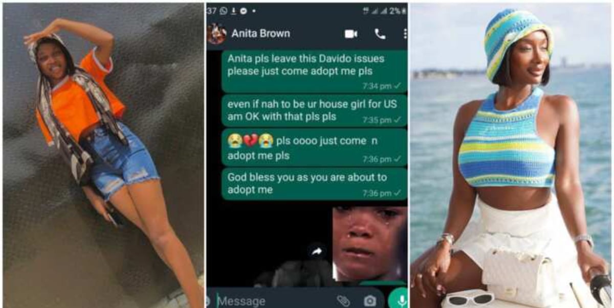"Come & adopt me pls" - Nigerian lady begs Anita, Davido's alleged pregnant side chick, WhatsApp exchange leaves netizens in stitches