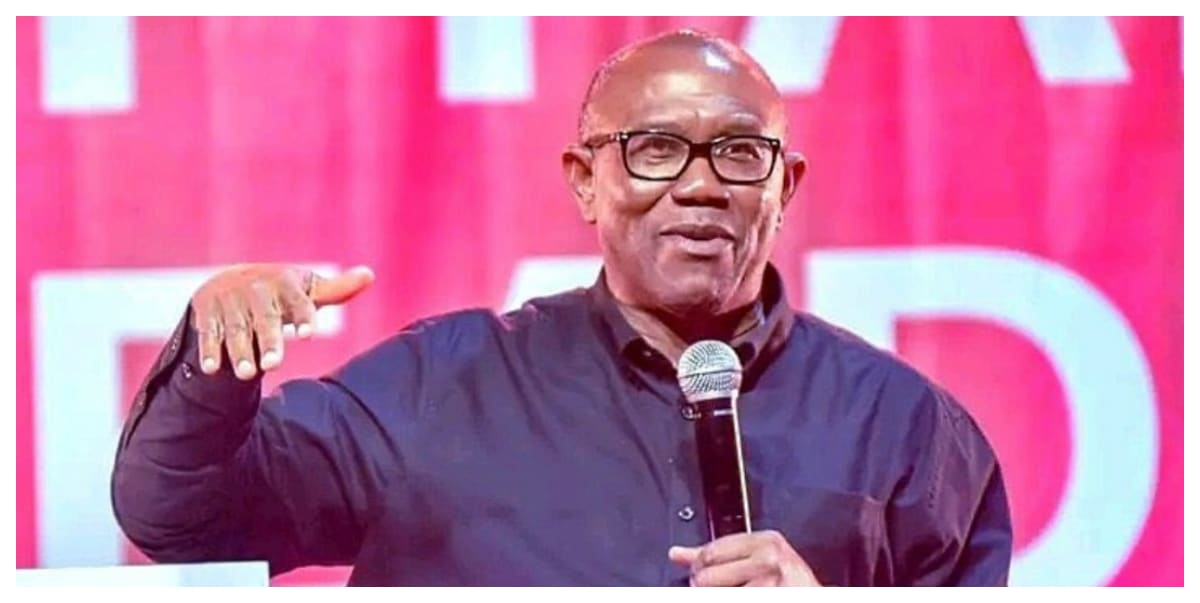 I won’t celebrate my birthday with current deplorable state of the nation – Peter Obi