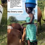 Beautiful lady cows husband dowry bride price