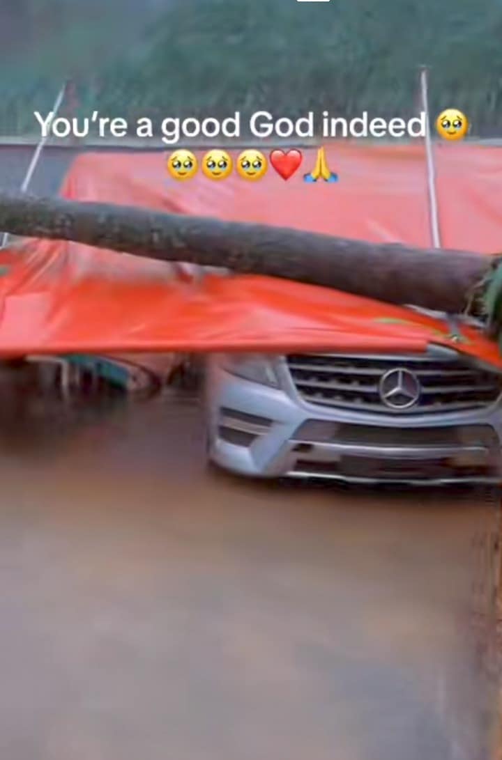 "My mum was standing there, but got a call and rushed to pick it" – Man thanks God for life after tree fell on his Mercedes Benz
