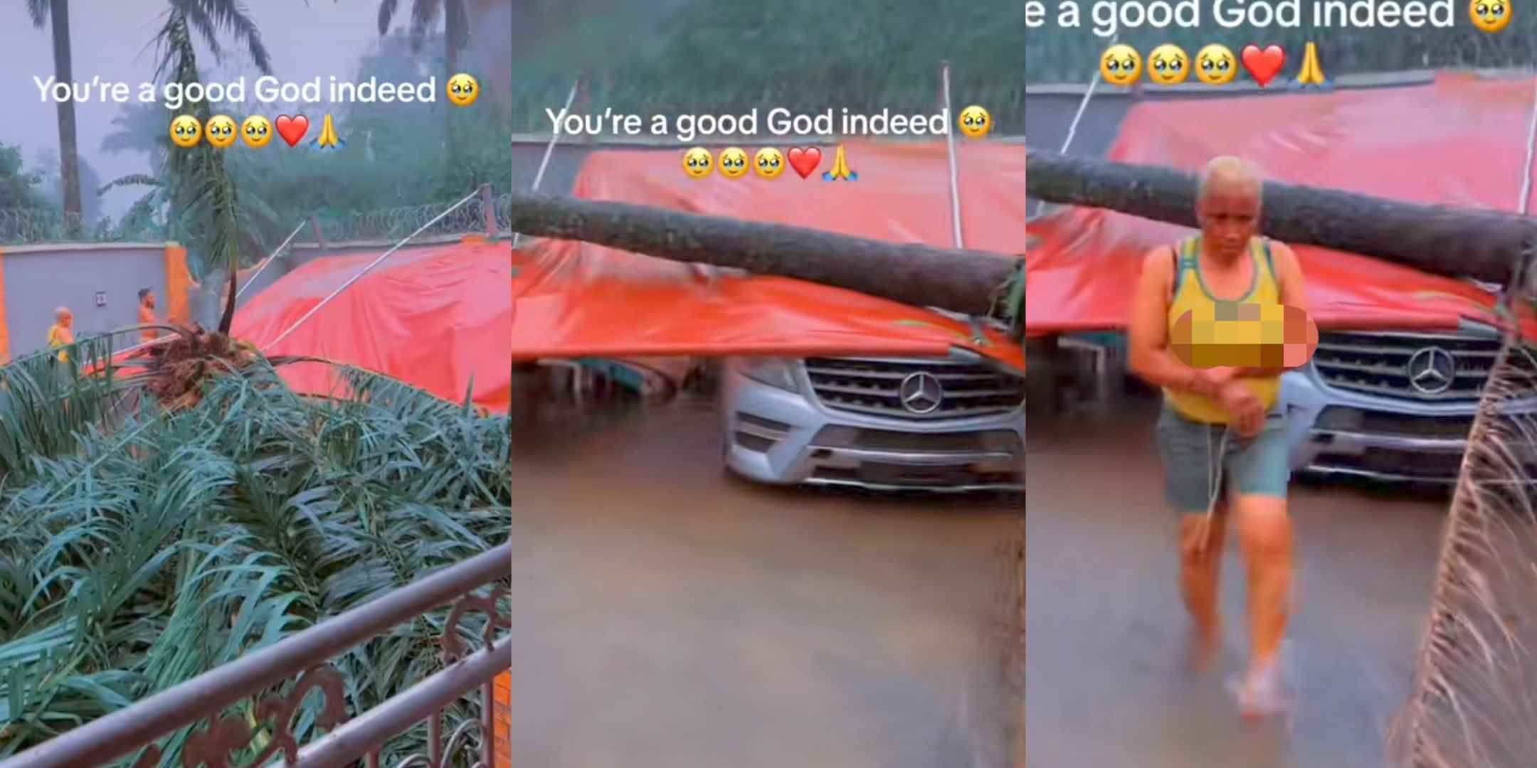 "My mum was standing there, but got a call and rushed to pick it" – Man thanks God for life after tree fell on his Mercedes Benz