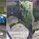 "Agric teacher don finally buy car" - Man causes buzz as he uses grass to redesign his new car