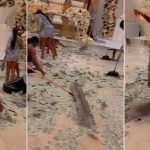 Video of bridesmaids sweeping cash sprayed at wedding trends