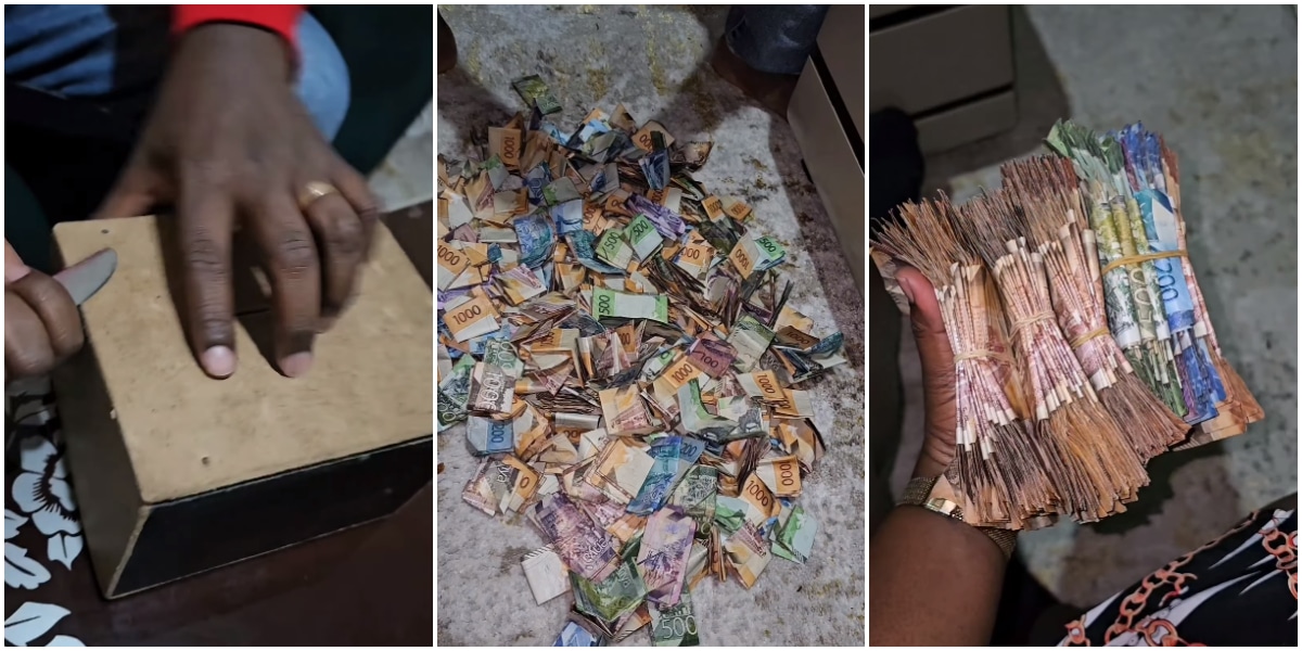"Detty December" - Man stuns many as he breaks his piggy bank after 1 year of saving, unveils staggering amount of money