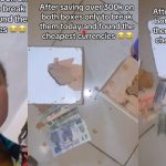 "I'm still in shock" - Lady cries out after breaking her piggy banks to find just N20, N50