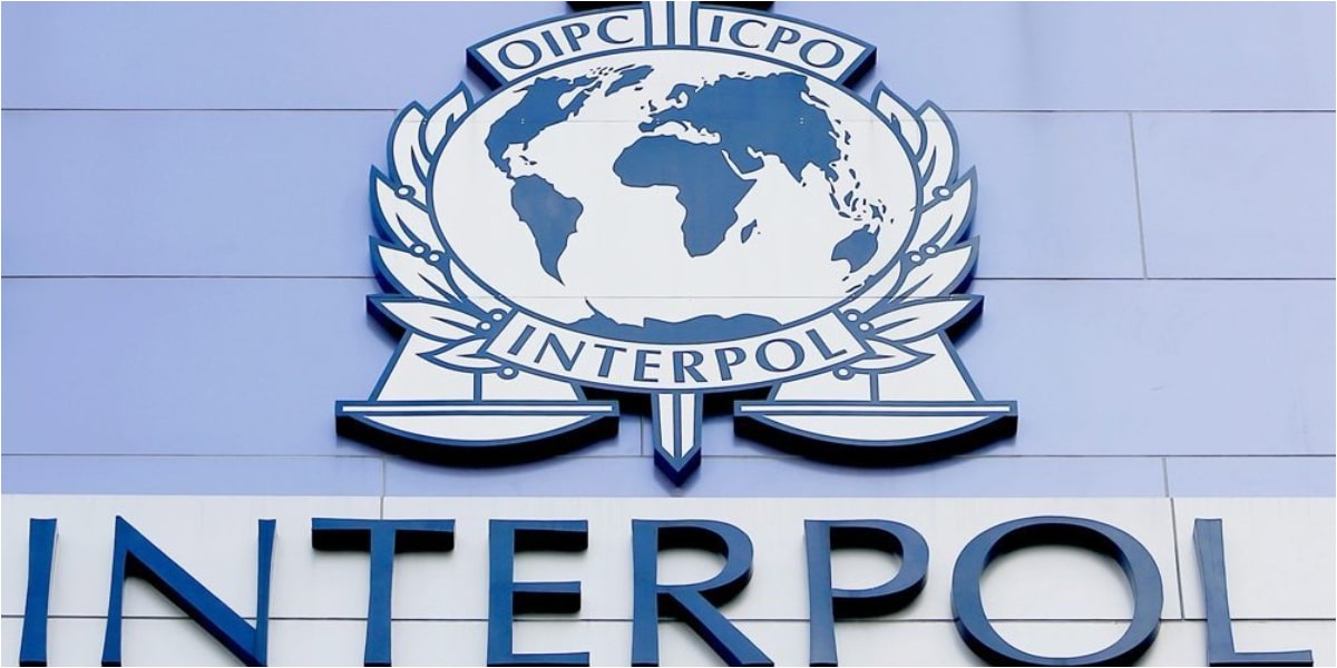 Interpol seizes $300M, arrests 3,500 people in sting operation across Nigeria, Ghana, others
