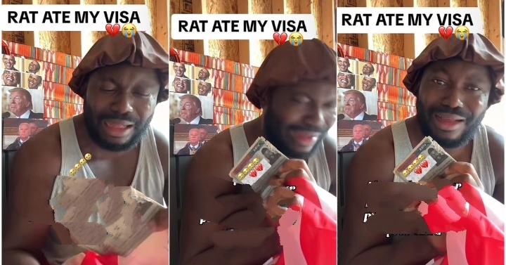 "Village people strong" - Man in tears as rat devours American visa