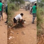 Lady tackles Masquerade to the ground as they brawl